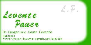 levente pauer business card